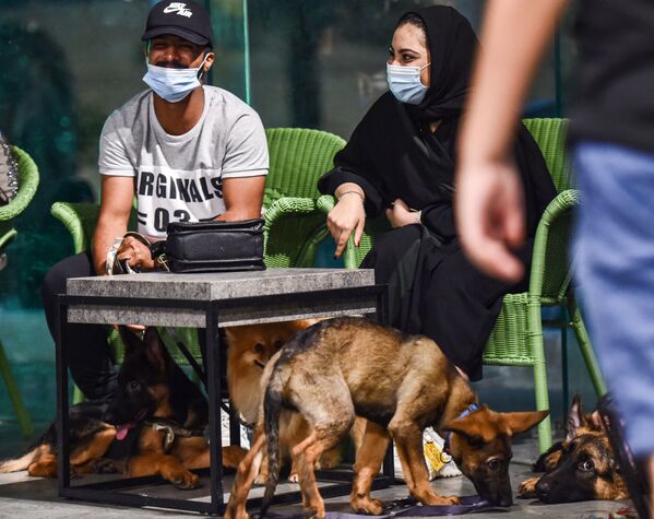 Посетители с питомцами в кафе Barking Lot в Саудовской Аравии  - Sputnik Узбекистан