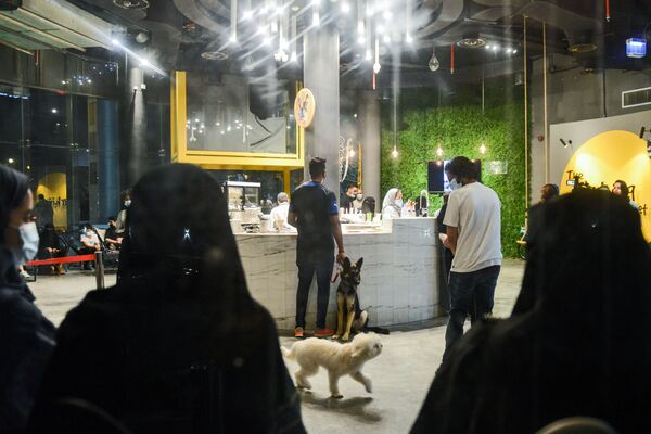 Посетители с собаками в кафе Barking Lot в Саудовской Аравии - Sputnik Узбекистан