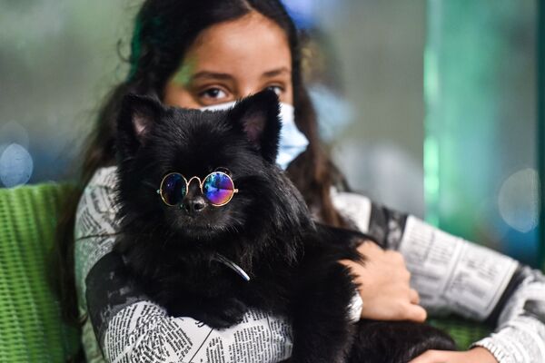 Девушка со своей собакой в кафе Barking Lot в Саудовской Аравии - Sputnik Узбекистан