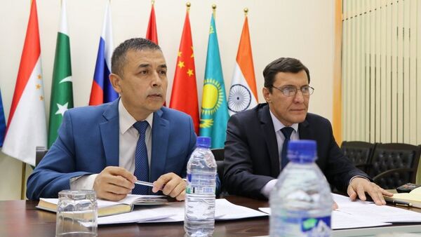 Онлайн-диалог “Роль соотечественников в развитии сотрудничества между Узбекистаном и Россией - Sputnik Узбекистан
