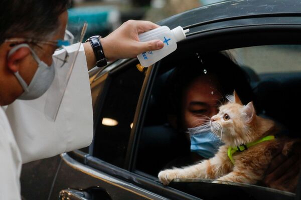 Священник окропляет святой водой кошку во Всемирный день животных в торговом центре Eastwood, Кесон-Сити (Филиппины). - Sputnik Узбекистан