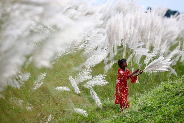 Девочка собирает цветы на окраине Дакки (Бангладеш). - Sputnik Узбекистан