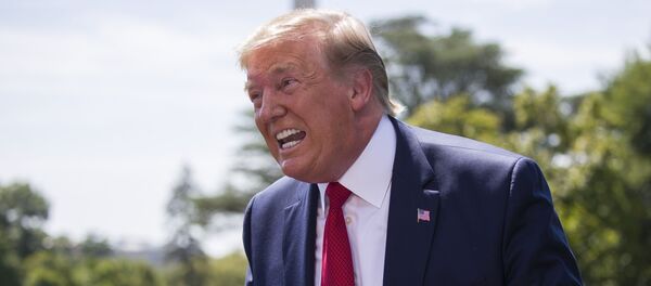 Президент Дональд Трамп - Sputnik Узбекистан