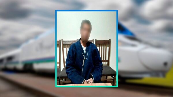 Бузғунчи: Афросиёб поезди йўлига тош қўйиб кетган шахс аниқланди Бузғунчи: Афросиёб поезди йўлига тош қўйиб кетган шахс аниқланди - Sputnik Ўзбекистон