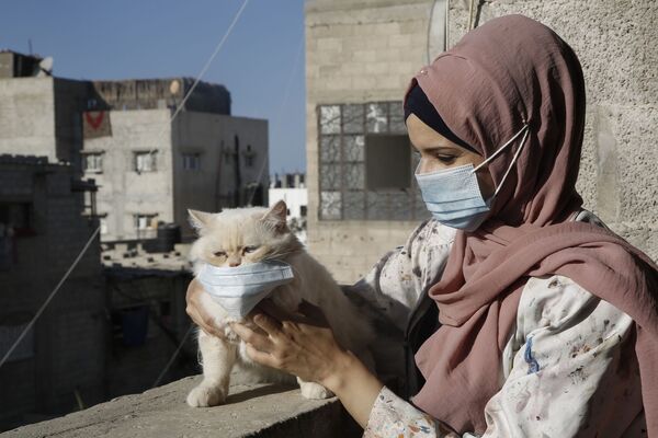 Палестинская художница Хулуд аль-Десуки с кошкой во время изоляции в Хан-Юнисе на юге сектора Газа - Sputnik Узбекистан