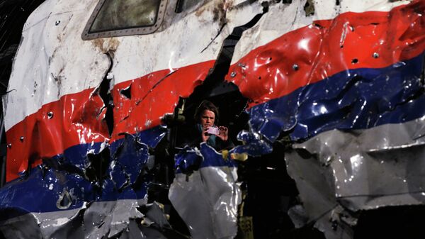 Доклад Совета безопасности Нидерландов по причинам крушения Boeing 777 - Sputnik Узбекистан
