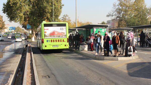 Остановка общественного транспорта в Ташкенте - Sputnik Узбекистан
