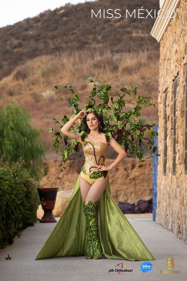 Miss Meksika-2020 ishtirokchisi Daniyela Pedroza, Baja Kaliforniyadan - Sputnik O‘zbekiston