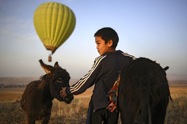 Мальчик с осликом в окрестностях города Бишкек - Sputnik Узбекистан