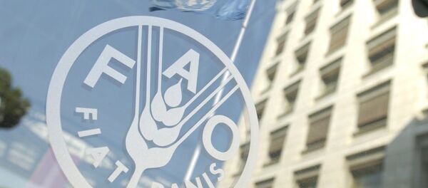 ФАО - Sputnik Узбекистан