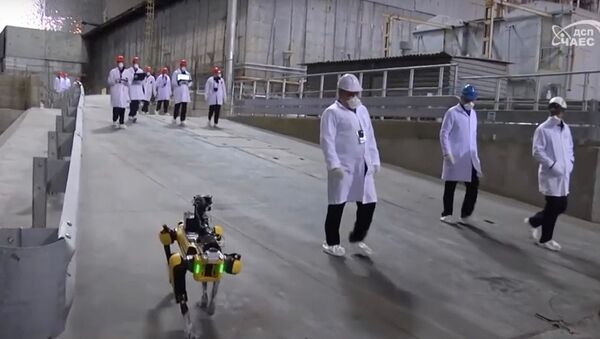 Робот-пес вынюхивает радиацию на Чернобыльской АЭС - Sputnik Узбекистан