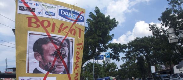 Акция в Индонезии против политики Э. Макрона Акция в Индонезии против политики Э. Макрона - Sputnik Ўзбекистон