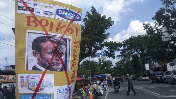 Aksiya v Indonezii protiv politiki E. Makrona - Sputnik O‘zbekiston