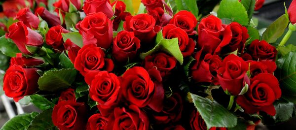 Букет роз Букет роз - Sputnik Ўзбекистон