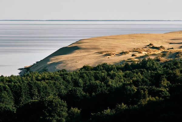 Вид на дюны с высоты Эфа в национальном парке Куршская коса в Калининградской области - Sputnik Узбекистан