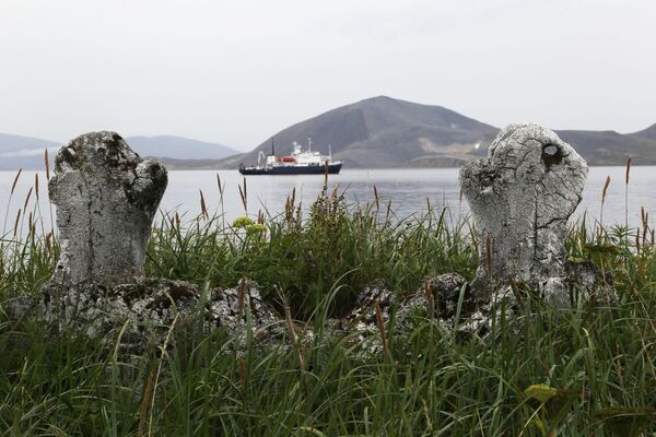 Древнее эскимосское сооружение Китовая аллея на острове Ыттыгран в Чукотском автономном округе - Sputnik Узбекистан