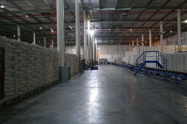 Meshki s saxarnim peskom - Sputnik O‘zbekiston