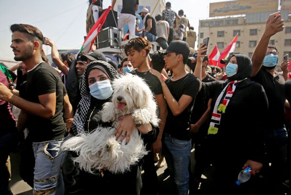 Девушка с собакой на руках во время протестов в Багдаде, Ирак - Sputnik Узбекистан