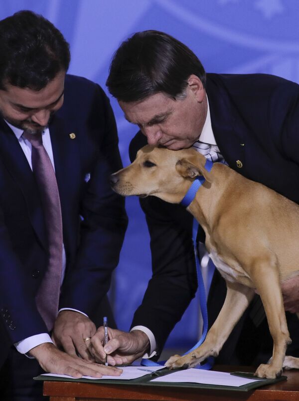 Президент Бразилии Жаир Болсонару со своей собакой во время подписания закона - Sputnik Узбекистан