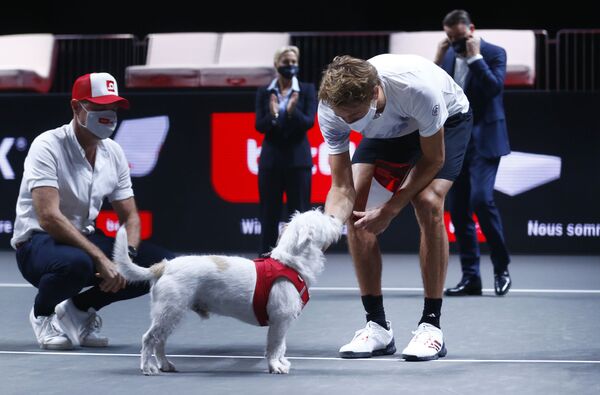 Теннисист Александр Зверев празднует победу в матче вместе с собакой - Sputnik Узбекистан