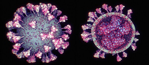 3d модель коронавируса 3d модель коронавируса - Sputnik Ўзбекистон