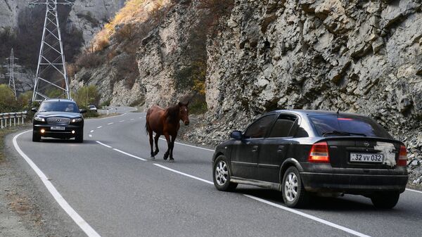 Лошадь на горной дороге в Нагорном Карабахе - Sputnik Узбекистан