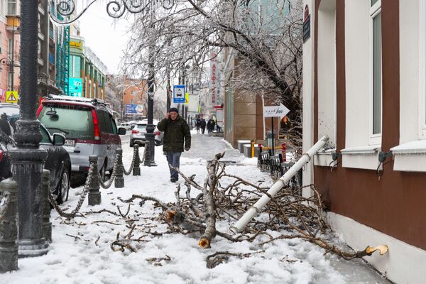 Последствия ледяного дождя во Владивостоке - Sputnik Узбекистан