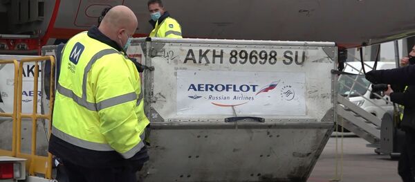 Спутник V в Венгрии: первая страна в ЕС получила российскую вакцину Спутник V в Венгрии: первая страна в ЕС получила российскую вакцину - Sputnik Узбекистан