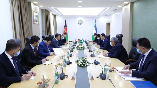 Власти Узбекистана и Афганистана увеличат товарооборот до $2 млрд - Sputnik Узбекистан
