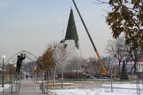Toshkentda Yangi yil archasini bezatish ishlari boshlab yuborildi - foto - Sputnik O‘zbekiston