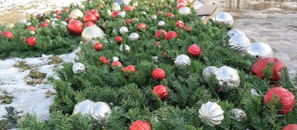 В Ташкенте начали установку новогодней ёлки - Sputnik Узбекистан