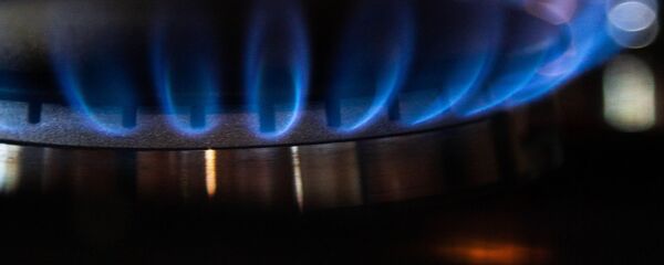 Газовая конфорка Газовая конфорка - Sputnik Узбекистан