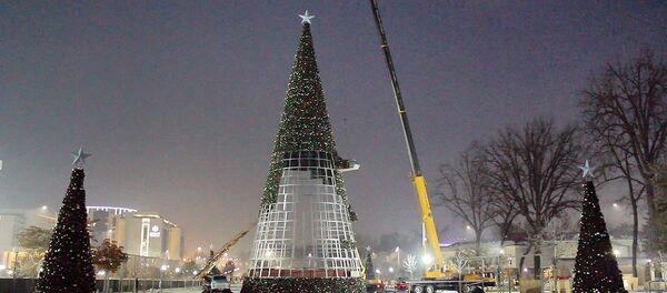 Празднику быть: в Ташкенте собирают главную новогоднюю елку Празднику быть: в Ташкенте собирают главную новогоднюю елку - Sputnik Ўзбекистон