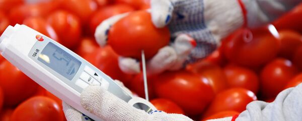 Помидоры.  - Sputnik Узбекистан