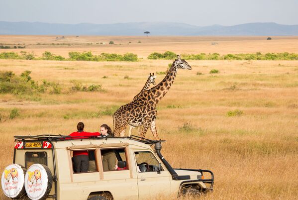 Natsionalniy zapovednik Masai-Mara v Kenii, kotoraya poluchila zvanie World's Leading Safari Destination 2020 - Sputnik O‘zbekiston