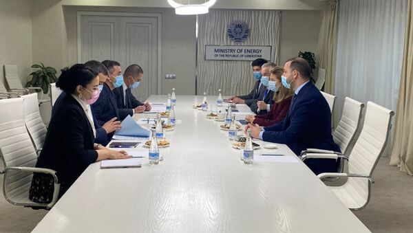 Министр энергетики Узбекистана Алишер Султанов и управляющий директор Rothschild & Cie Ариэль Моллард де Ротшильд провели встречу в Ташкенте  - Sputnik Узбекистан