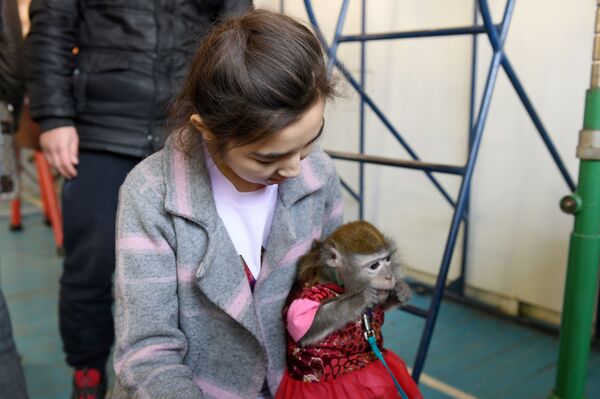 К нам приехал зоопарк: детей-инвалидов навестили пушистые гости — видео - Sputnik Узбекистан
