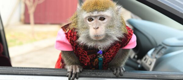 В столичной спецшколе №2 для детей с ограниченными возможностями прошла благотворительная акция - Sputnik Узбекистан