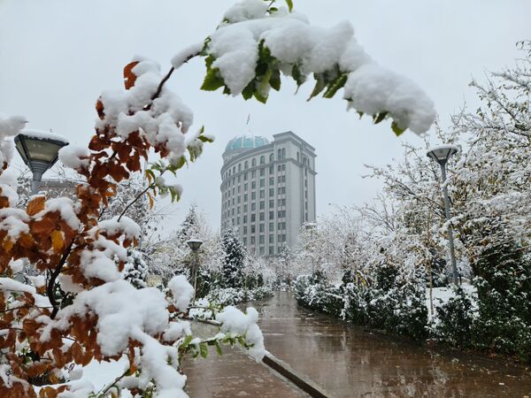 Первый снег в Душанбе - Sputnik Ўзбекистон
