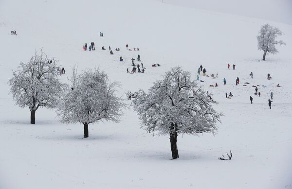 Люди катаются на санках во время первого снегопада в Альбиспассе, Швейцария - Sputnik Ўзбекистон