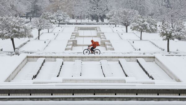 Мужчина на велосипеде во время снегопада в Софии, Болгария - Sputnik Узбекистан