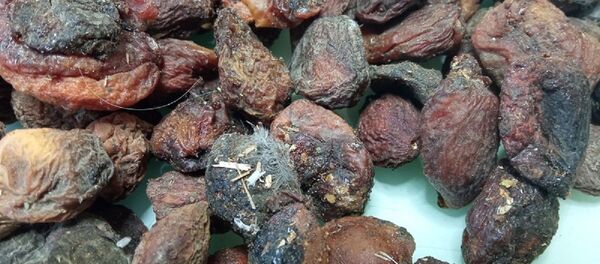 Россельхознадзор вводит запрет на ввоз всей растительной продукции из Ферганы Россельхознадзор вводит запрет на ввоз всей растительной продукции из Ферганы - Sputnik Ўзбекистон