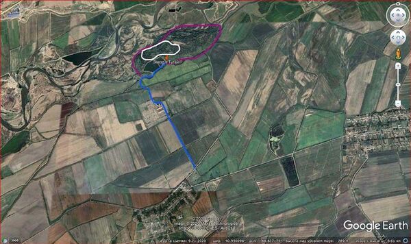 Чирчикский тугайный лес оказался под угрозой вырубки Чирчикский тугайный лес оказался под угрозой вырубки - Sputnik Узбекистан