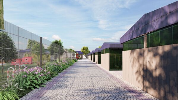 В мире животных и людей: найдут ли в Узбекистане управу на живодеров - Sputnik Узбекистан