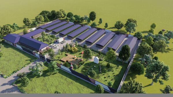 В мире животных и людей: найдут ли в Узбекистане управу на живодеров - Sputnik Узбекистан