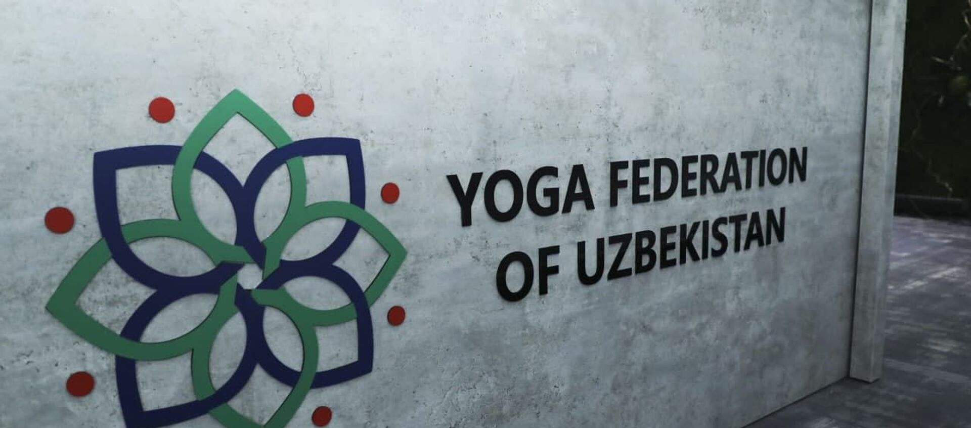 Федерация йоги Узбекистана - Sputnik Узбекистан, 1920, 09.12.2020