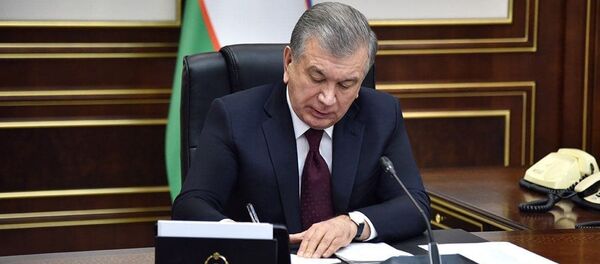 Первое выступление президента Узбекистана Шавката Мирзиёева на заседании Высшего совета ЕАЭС - Sputnik Узбекистан