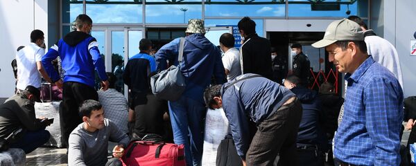Вывозной рейс из Новосибирска в Ташкент Вывозной рейс из Новосибирска в Ташкент - Sputnik Ўзбекистон