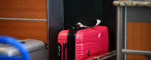 Чемоданы в аэропорту Шереметьево Чемоданы в аэропорту Шереметьево - Sputnik Узбекистан