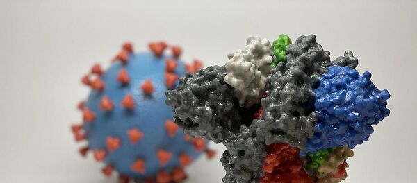 Шипы коронавируса - Sputnik Ўзбекистон